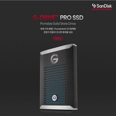 [샌디스크 프로페셔널] G-DRIVE PRO SSD 500GB